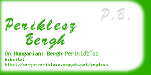 periklesz bergh business card